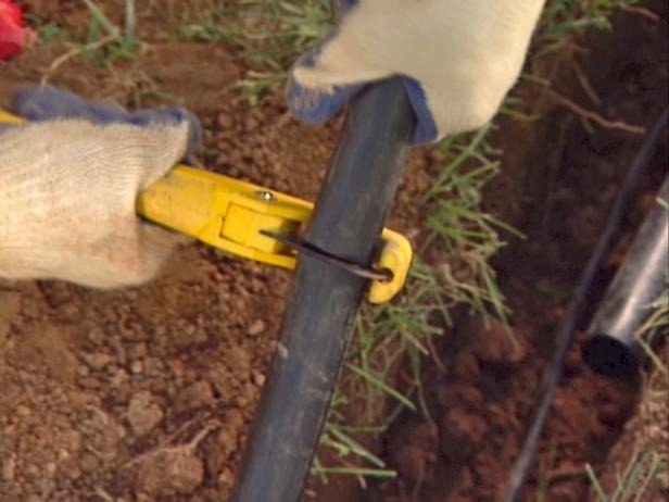 Trimming pipe with cutters